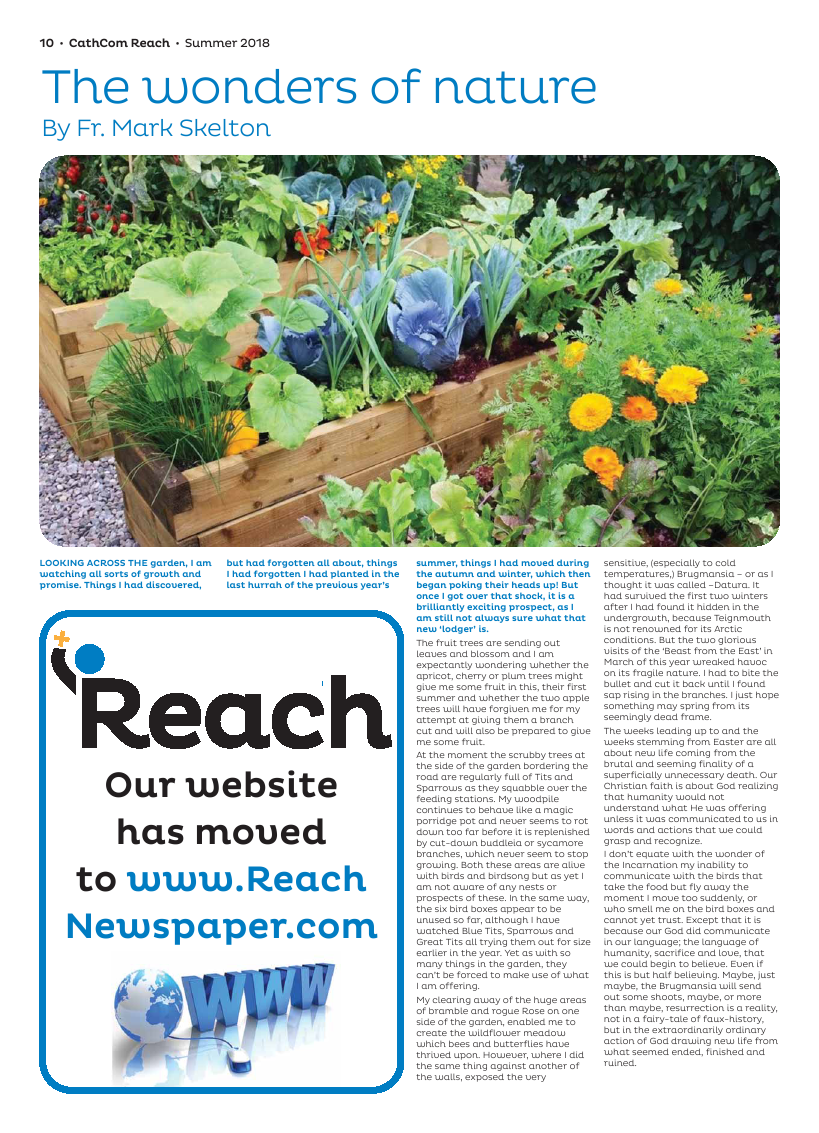 Summer 2018 edition of the Reach - Page 