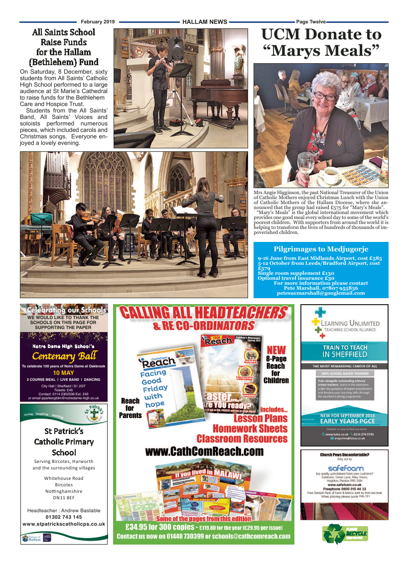 Feb 2019 edition of the Hallam News - Page 